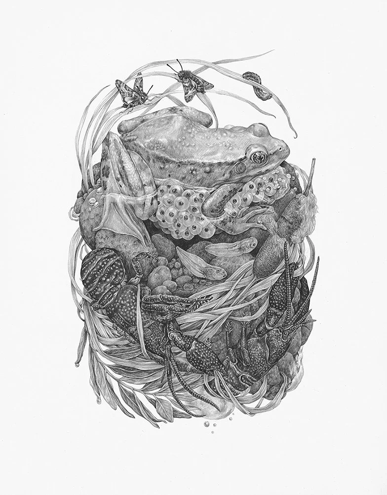 Zoe Keller 版画 Shop Partner Galleries — Zoe Keller Nature Art